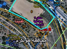 Mixed Use Land for Sale in Tulkarm Anabta