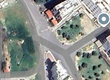 Residential Land for Sale in Amman Shafa Badran
