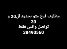 مطلوب فرخ متو مطلوب فرخ متو