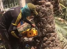 البصره البصره