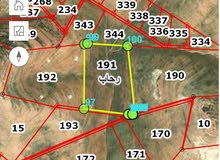 Farm Land for Sale in Mafraq Rhab