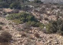 Residential Land for Sale in Salfit Deir Istiya