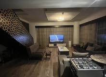 سرير للإيجار الشهري ( شقة طابقين شيرنج ) في دبي البرشاء "التيكوم"