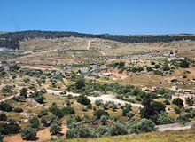 Mixed Use Land for Sale in Tubas Other
