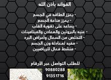 مكسرات مطحونة مع عسل النحل والسمن الأصلي مكسرات مطحونة مع عسل النحل والسمن الأصلي