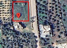Mixed Use Land for Sale in Jenin Silat Al Harithiya