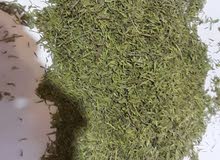 بيع زعتر بيع زعتر