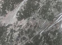 خضار مجمد مفرزن دون مواد حافظه خضار مجمد مفرزن دون مواد حافظه