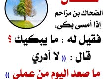بحث عن عمل بحث عن عمل
