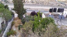 Residential Land for Sale in Bethlehem Beit Jala