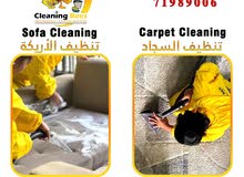 Carpet and Sofa Cleaning