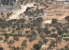 Residential Land for Sale in Jenin Deir Ghazala