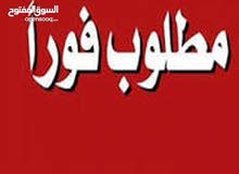 مطلوب بيت ايجار مطلوب بيت ايجار