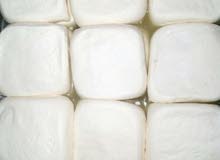 جبنة خضرة غنم أصلي ٪100 جبنة خضرة غنم أصلي ٪100