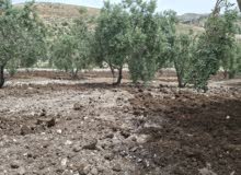Mixed Use Land for Sale in Hebron Surif