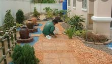 NEW INDOOR PLANTS AND LandSCAPING WORK NEW INDOOR PLANTS AND LandSCAPING WORK