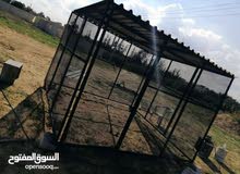 قفص 3×3 قفص 3×3