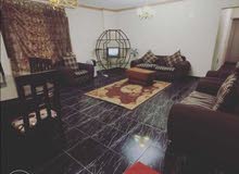 شقة لوكس حمام مطبخ مفتوح 3 غرف بشارع الهرم شقة لوكس حمام مطبخ مفتوح 3 غرف بشارع الهرم