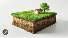 Residential Land for Sale in Ramallah and Al-Bireh Surda