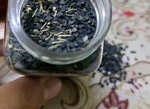 بذور بصل أحمر بذور بصل أحمر