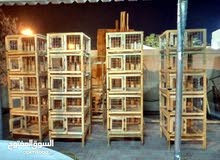 بيوت دجاج بيوت دجاج