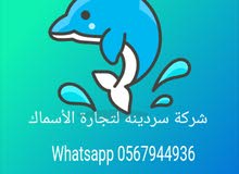 Sardine Fresh Fish Trading Company to deliver fish orders in 45 minutes Sardine Fresh Fish Trading Company to deliver fish orders in 45 minutes