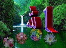 ابحث عن عمل / وكيل أو مسئول عقارات ( إدارة أملاك الغير ) ابحث عن عمل / وكيل أو مسئول عقارات ( إدارة أملاك الغير )