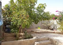 منزل للبيع بحي الرياض المحمدية منزل للبيع بحي الرياض المحمدية