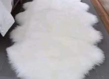 جهاز مشرف قابس كهرباء فرو سجاد ckleroderosbo com