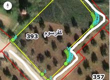 Mixed Use Land for Sale in Irbid Kufr Sowm