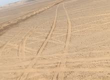 ارض بكر في الواحات البحريه صالحه لجميع الزراعات مقننه ارض بكر في الواحات البحريه صالحه لجميع الزراعات مقننه
