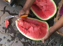 جح عماني من مزارع صلاله ممتاز جدا واحمر واحجام ممتازه جدا جح عماني من مزارع صلاله ممتاز جدا واحمر واحجام ممتازه جدا