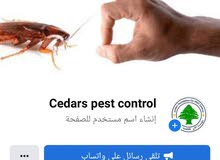 مؤسسة الارز لمكافحة الحشرات المنزلية مؤسسة الارز لمكافحة الحشرات المنزلية