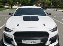 Ford Mustang 2019 Eco Boost Excellent condition