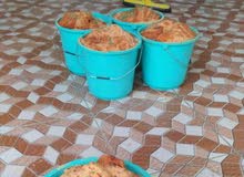 يوجد مالح للبيع يوجد مالح للبيع