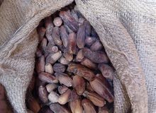 تمر بركاوي تمر بركاوي
