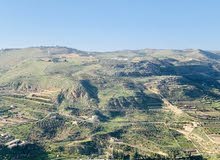 Farm Land for Sale in Amman Mahes