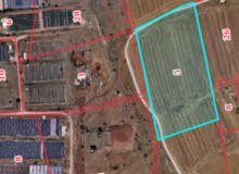 Farm Land for Sale in Nablus Beit Dajan