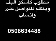 مطلوب كاسكو اليف ويتكلم مطلوب كاسكو اليف ويتكلم