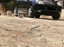 cayenne 2006 cayenne 2006
