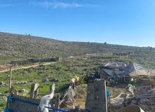 Mixed Use Land for Sale in Nablus Rujeib