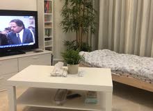 شجره خيزران راقيه جدا شجره خيزران راقيه جدا