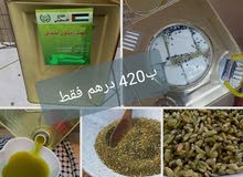 عروض غذائية مميزة عروض غذائية مميزة