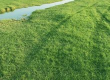 باحث عن عمل في ولايه صحار باحث عن عمل في ولايه صحار