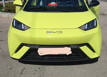 سيجال ( بي واي دي )