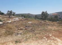 Residential Land for Sale in Jenin Qabatiya
