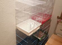 neat and clean cages