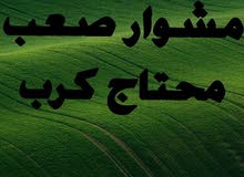 طالب ابحث عن عمل طالب ابحث عن عمل