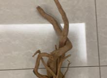 aquarium drift wood for sale aquarium drift wood for sale