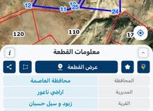 Mixed Use Land for Sale in Amman Zabboud